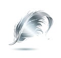 Silver bird feather icon Royalty Free Stock Photo