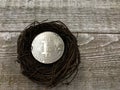 Silver Bitcoin in small nest