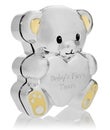 Silver box in the shape of a teddy bear to the first baby teeth. Royalty Free Stock Photo