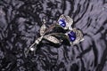 Silver brooch flower with blue stone in the water