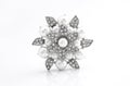 Silver brooch flower with pearl on on white