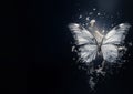 silver butterfly - fantasy mood - black background