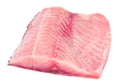 Silver carp fillet