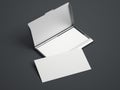 Silver case with white blank business cards. 3d rendering