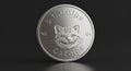 Silver Catnip Coin with Cat Face
