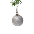 silver christmas ball is hanging on christmas tree isolated on white background. Royalty Free Stock Photo