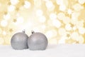 Silver Christmas balls golden decoration with snow copyspace Royalty Free Stock Photo