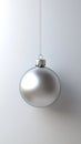 Silver christmas ornament Royalty Free Stock Photo