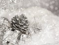 Silver Christmas Pinecone Royalty Free Stock Photo