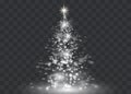 Silver Christmas tree on transparent background.Christmas abstract Royalty Free Stock Photo