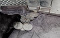 Silver Coins and Silver Bars on top of Map Royalty Free Stock Photo