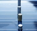 Silver coins on solar panels Cells help store solar energy. Then use it as electricity for homes and buildings to use, reducing