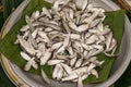 Silver color chapila fish displayed in a green leaf for sell in local fish market