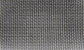 Metal mesh.Silver colored metal mesh in close-up,Metal grill.Grid mesh background.