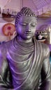 Silver Colour Lord Buddha Statue Royalty Free Stock Photo