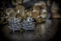 Silver Cones and New Year`s Decoration
