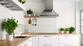 Silver cooker hood in minimal white kitchen interior with plant on wooden countertop Royalty Free Stock Photo