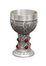 Silver cup Royalty Free Stock Photo