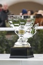 Silver cup trophy. Hippodrome paddock area. Sport competition Royalty Free Stock Photo