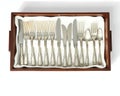 A silver cutlery set displayed in a velvet-lined tray on a table Royalty Free Stock Photo