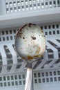 silver dirty used spoon with oil grease and meat and vegetable chunks left in the sink Royalty Free Stock Photo