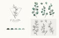Silver Dollar eucalyptus logo and branch. Hand drawn wedding herb, plant and monogram with elegant leaves for invitation