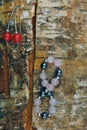 Earrings bracelet beads studio quality light Royalty Free Stock Photo