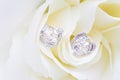 Silver earrings with diamonds macro shot on the white flower. Royalty Free Stock Photo
