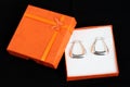 Silver earrings present