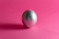 Silver egg on a dark pink background. Abstract Easter background Royalty Free Stock Photo