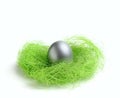 Silver egg in green nest