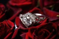 silver engagement ring resting on red rose petals Royalty Free Stock Photo