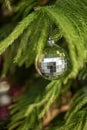 Silver faceted ball ornament hanging from branch of green fir tree Christmas decoration Royalty Free Stock Photo