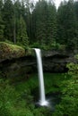 Silver Falls state park Royalty Free Stock Photo