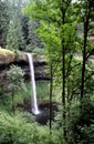 Silver Falls State Park Royalty Free Stock Photo