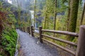 Silver Falls State Park Royalty Free Stock Photo