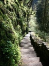 Natural Stone steps in Silver Falls State Park Oregon