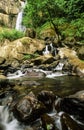 Silver Falls State Park waterfall Royalty Free Stock Photo