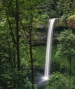 Silver Falls waterfall Royalty Free Stock Photo