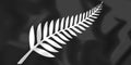 Silver Fern Flag, New Zealand. Royalty Free Stock Photo