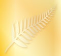 Silver Fern of New Zealand Background Royalty Free Stock Photo