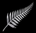 Silver Fern of New Zealand On Black Royalty Free Stock Photo