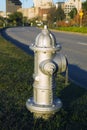 Silver Fire Hydrant Royalty Free Stock Photo