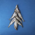Silver fish in form alternative christmas tree on blue background. Sabrefish Pelecus cultratus. Salty dry fish - popular beer Royalty Free Stock Photo