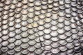 silver fish scales up close Royalty Free Stock Photo