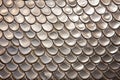 silver fish scales up close Royalty Free Stock Photo