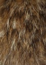 Silver Fox fur for background Royalty Free Stock Photo