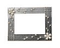 Silver frame Royalty Free Stock Photo