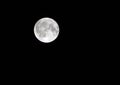 Silver full harvest moon in a black night sky in september
