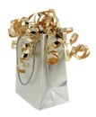 Silver Gift Bag With Gold Ribb